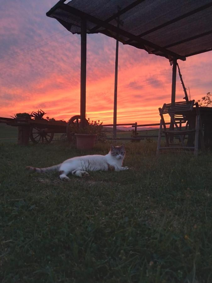 Agriturismo Enjoy Sunset Cinigiano Zewnętrze zdjęcie